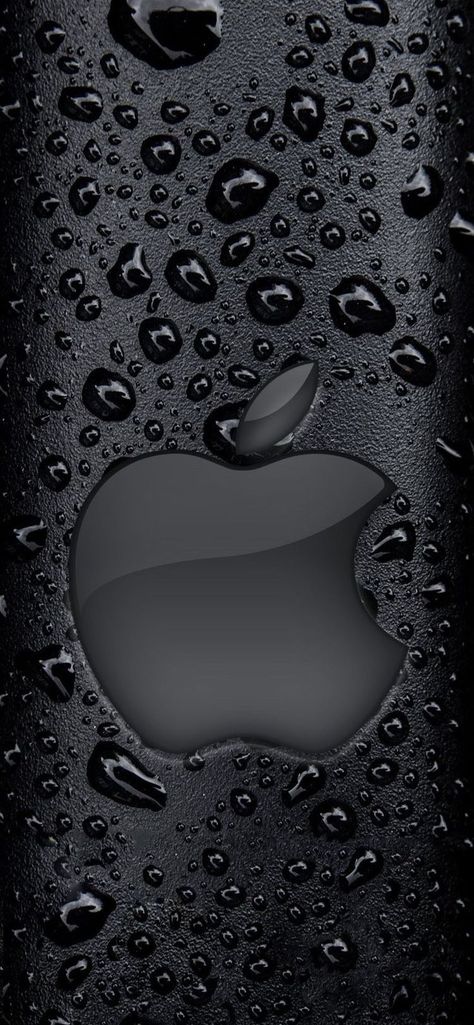 Apple Moden Logo Apple Moden Logo